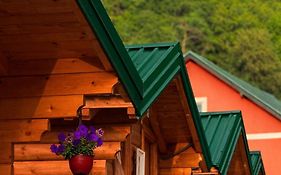 Dedushi Guesthouse &Wood Cabins-Camping Place